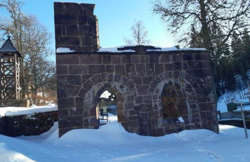 FeWo Schwarzwald von oben - Kniebis - Foto 38