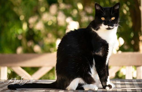 Finca Meerlust - Las Ballenas - Foto 41