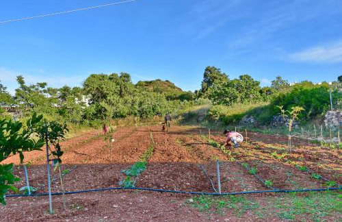 Emporios Bay Hotel Chios - Foto 77