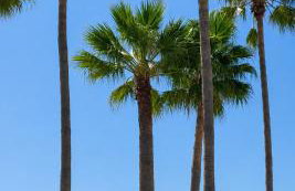 Marina Casares Beachside Apartment - Foto 13