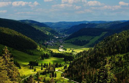 Black Forest Luxury Apartment Bärenhöhle mit Sauna - Foto 35