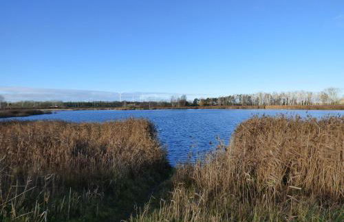 Uckermark "Ferienwohnung Sommerfugl " - Photo 16