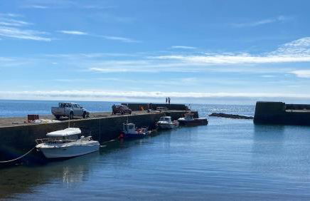 Driftwood - Photo 28