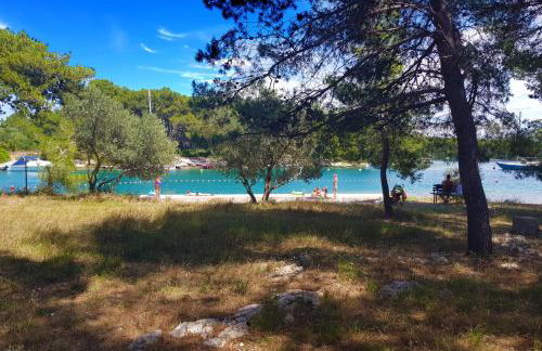 Seaside holiday house Jadrija, Sibenik - 24454 - Foto 4