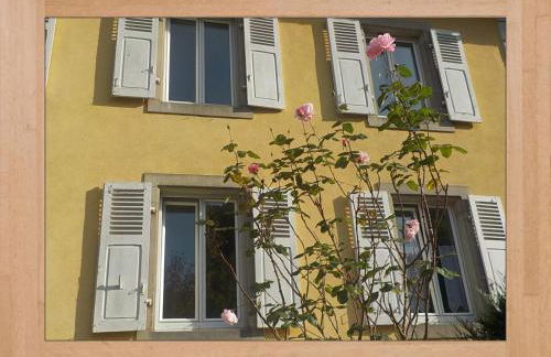 LES HORTENSIAS - Foto 29