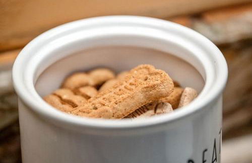 Came Here to Forget Cabin - Foto 19