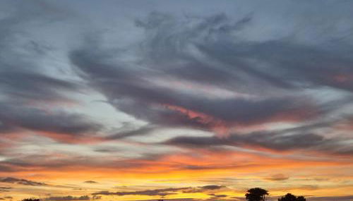 Glamping Pods Nr Port Isaac - Foto 4