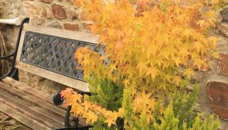 The Hide at Lemons Farm - Foto 5