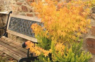 The Hide at Lemons Farm - Foto 5