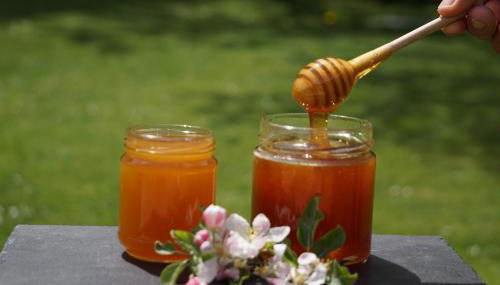 Waalhof Ferienwohnung Kastanie - Foto 4