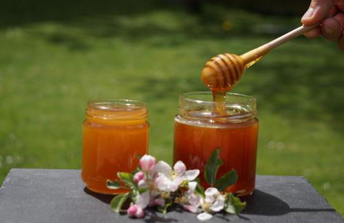 Waalhof Ferienwohnung Kastanie - Foto 4