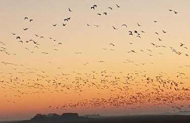 HaRe Ferienwohnungen - Foto 43