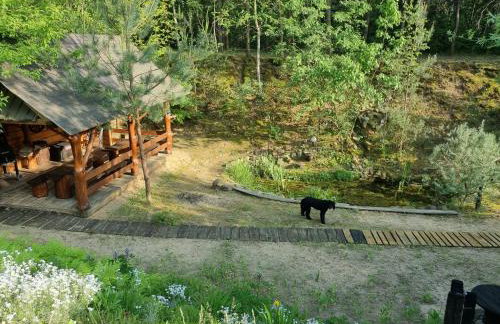 Siedlisko Janopole - Foto 21