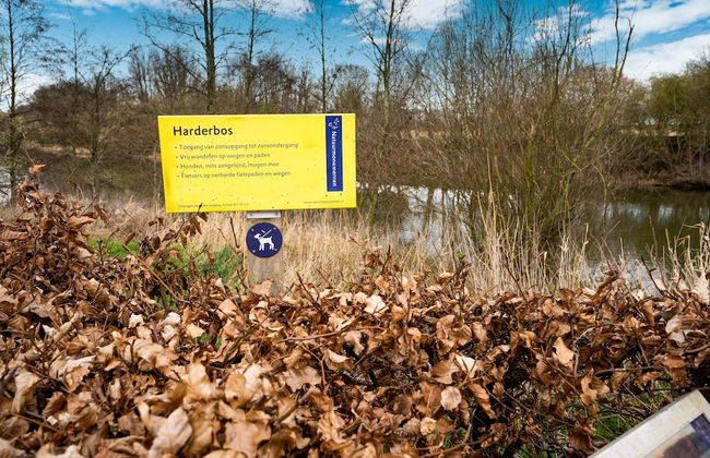 Holiday Home in Zeewolde With Kayaks - Foto 41