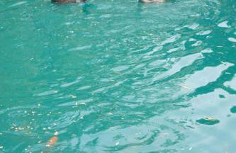 Sapphire forest garden shepherd’s hut - Foto 24