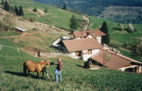 Agritur Darial - Photo 85