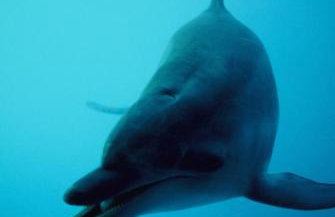 Apartment D & N - Foto 70