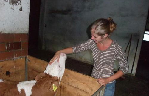 Hans Girgl Hof - Foto 28