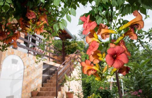 Apartment Alba - Photo 25