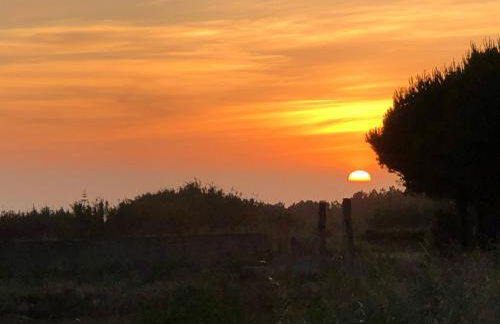 Quintinha da Evangelina - Foto 55