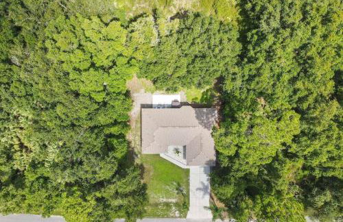 Hot Tub, Game Room, Fire Pit, Rays, Braves Spring - Foto 5