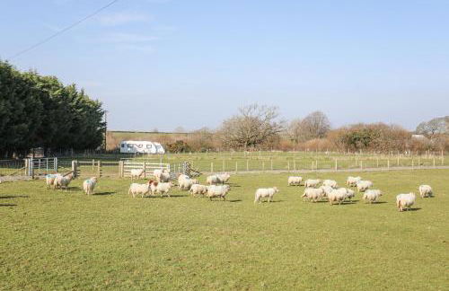 Bryn Afon Farm - Photo 37