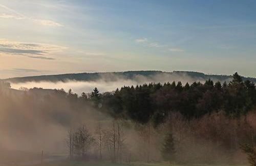 Forest Magic Winterberg - Foto 27