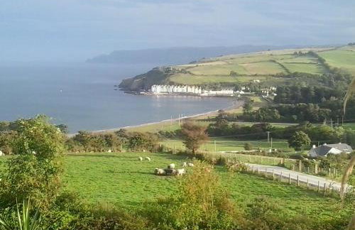 Beachview Cottage Co. Antrim - Foto 33