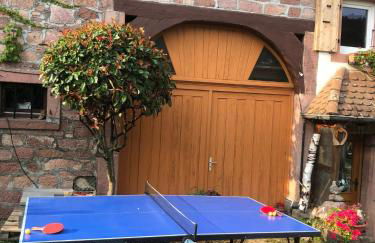 Maison pittoresque à Sainte-Croix-aux-Mines, vue sur la montagne - Foto 43