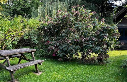 The Beech Hut, Wood Fired Hot Tub, St Kew Escapes - Foto 18