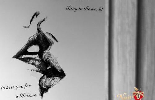 Nuit Défendue Jacuzzi-Sauna - Foto 16