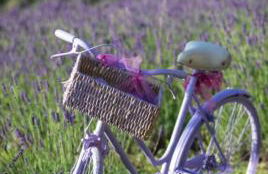 La lavanda di Poppi-mini appartamento - Foto 58