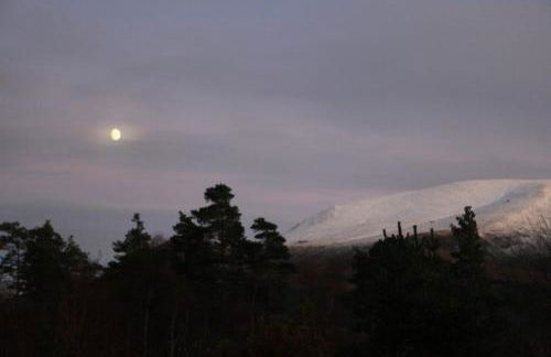 Tower Ridge Apartments - Photo 46