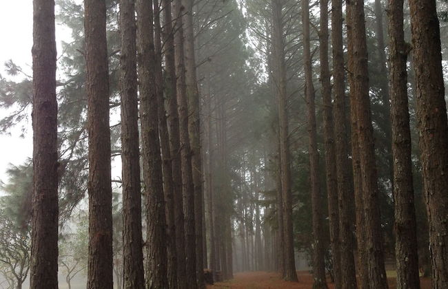 Chalet em Viamão - Foto 38