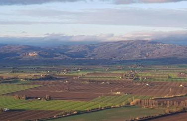 MattiMamiHouse - Foto 16