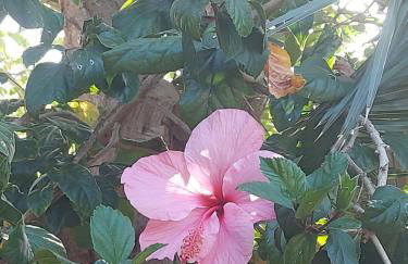 Casa rural frente al mar La Toscana - Foto 34