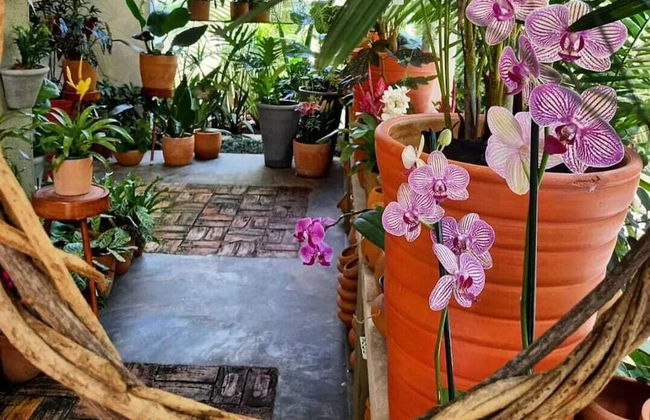 Residencial Casa Flor Atelier Botânico, Ponta Negra - Foto 5