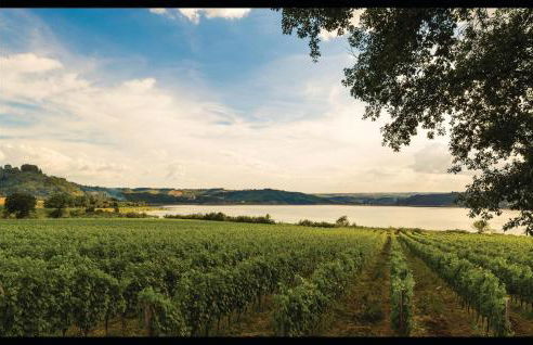 Cozy Apartment In Castiglione Del Lago - Foto 17