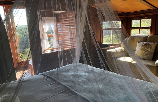 Teniqua Treetops - Foto 11