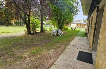 Le haras de gus et lulu - Foto 13