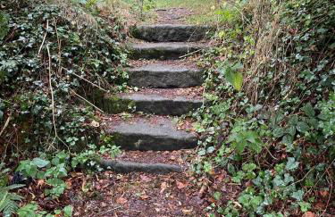 The Beehive at Pudding Cottage - Foto 39