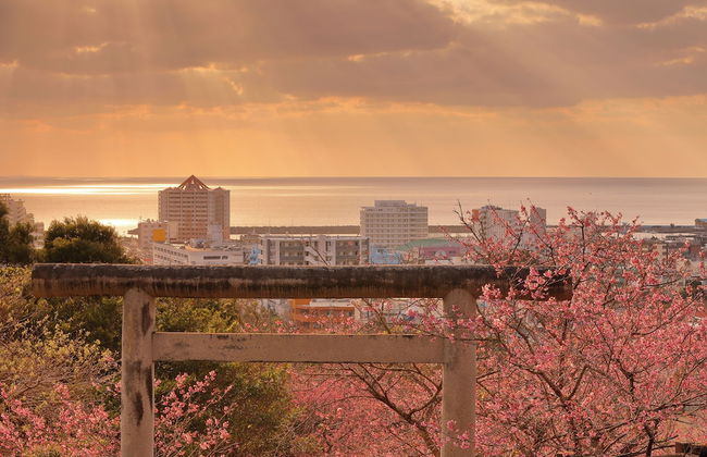 Mr.KINJO in GUSUKU - Foto 46