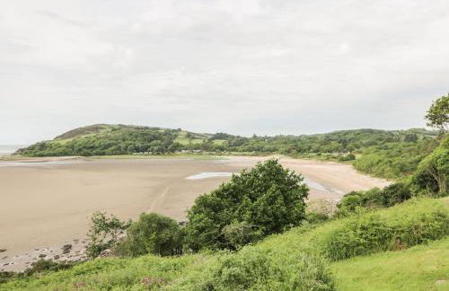 Thistle Dubh "Doo" - Foto 37