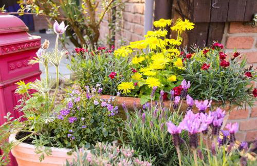 Tinyhouse Zirkuswagen- Kotten Kunterbunt - Foto 12