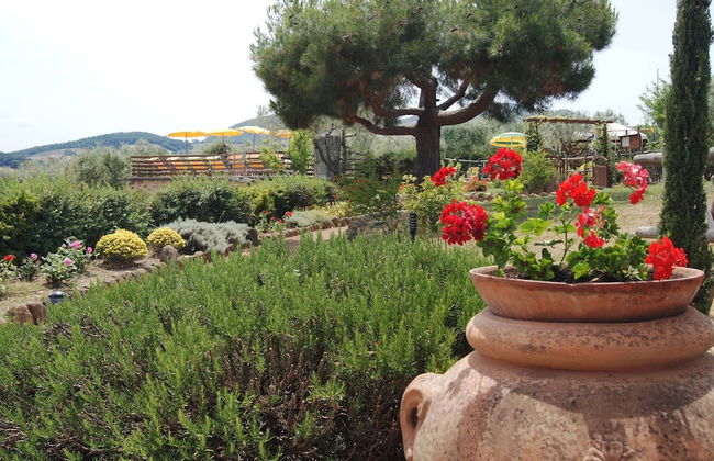 Agriturismo Signorini - Foto 26