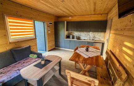 ZIELONY GAJ przy SOLINIE - Foto 8