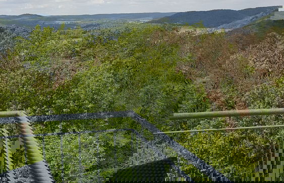 Friedrichs Ferienwohnungen - Foto 23