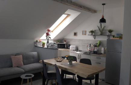 Studio apartman GRIZZLY - Foto 11