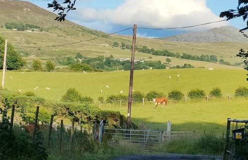 Y Bwthyn at The Old Water Mill on the very edge of Snowdonia - Foto 6
