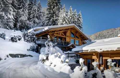 Chalet Timan - OVO Network - Foto 27